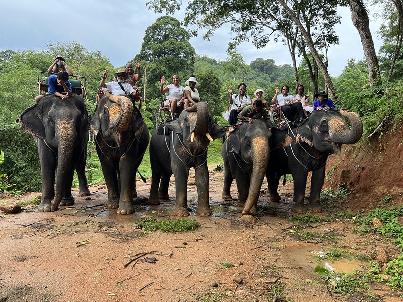 Making memories with B-Line Travel